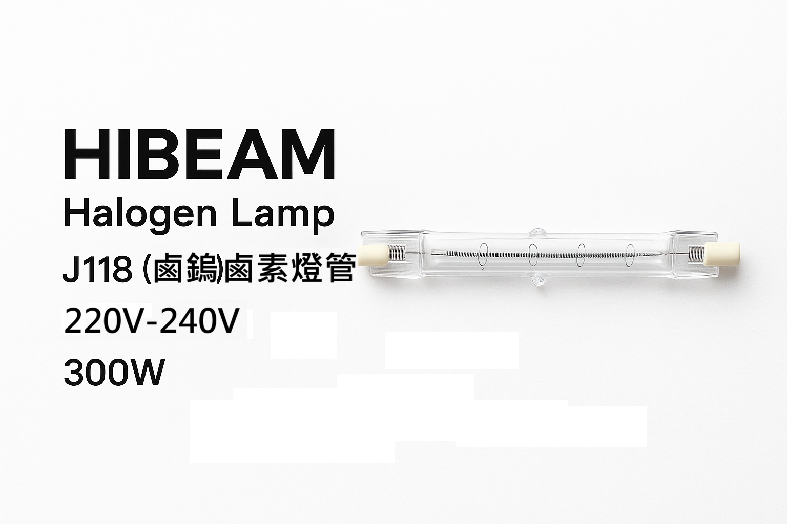 220V-300W-j118.jpg